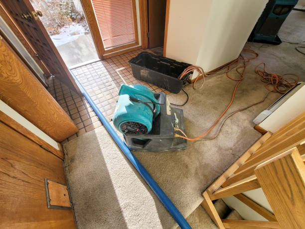 Best Water damage cleanup near me  in Salem, NC