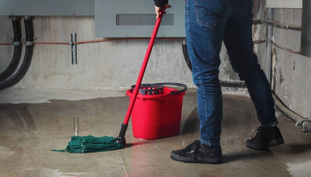 Best Flood damage cleanup  in Salem, NC