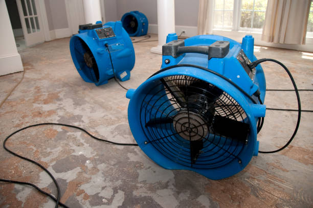 Best Flood restoration services  in Salem, NC