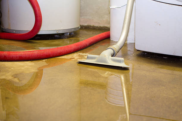Best Water damage contractors near me  in Salem, NC